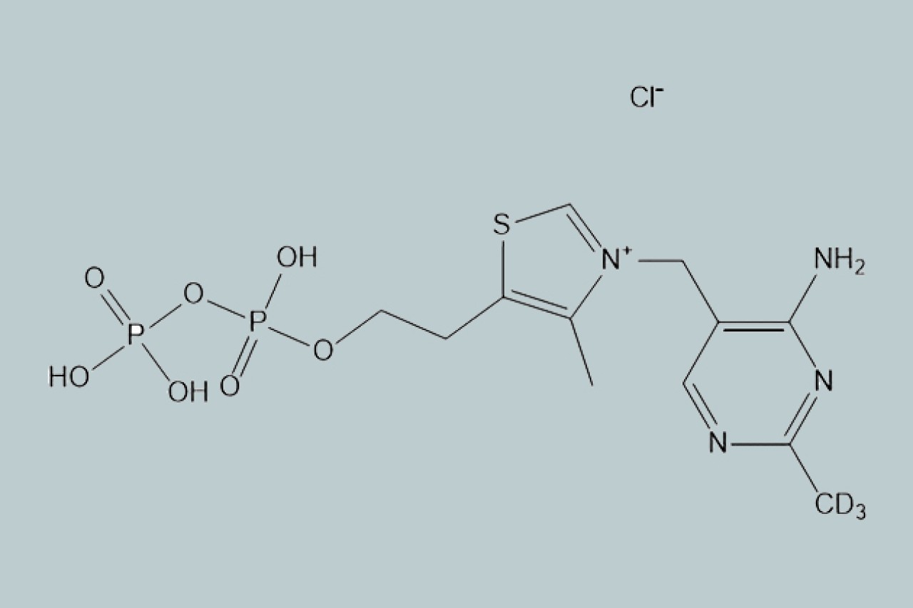 RMC Group - Buchem structure photo with labelling