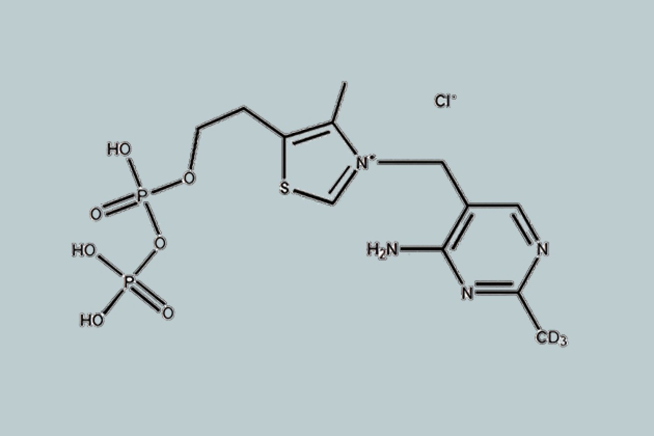 RMC Group - Tenax structure photo with labelling
